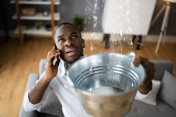 Best Flood damage cleanup  in Fort Plain, NY
