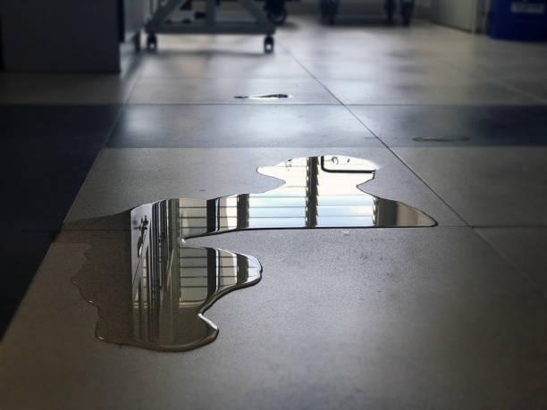 Best Professional water damage repair  in Fort Plain, NY