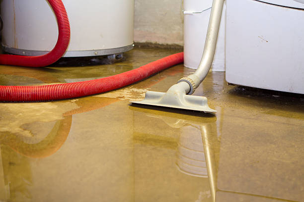 Best Water damage restoration specialists  in Fort Plain, NY