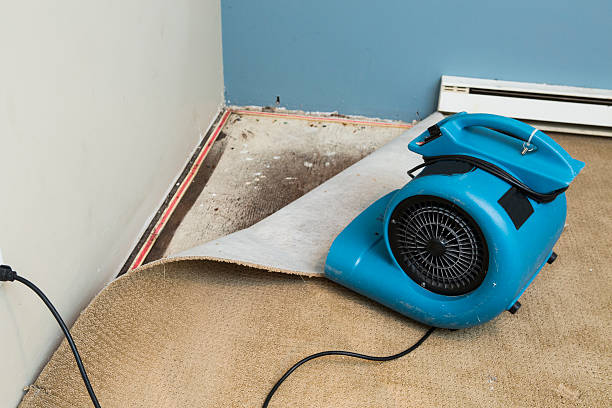 Best Local water damage restoration  in Fort Plain, NY